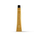 Lakme Collage Clair Color 12/17 60 ml